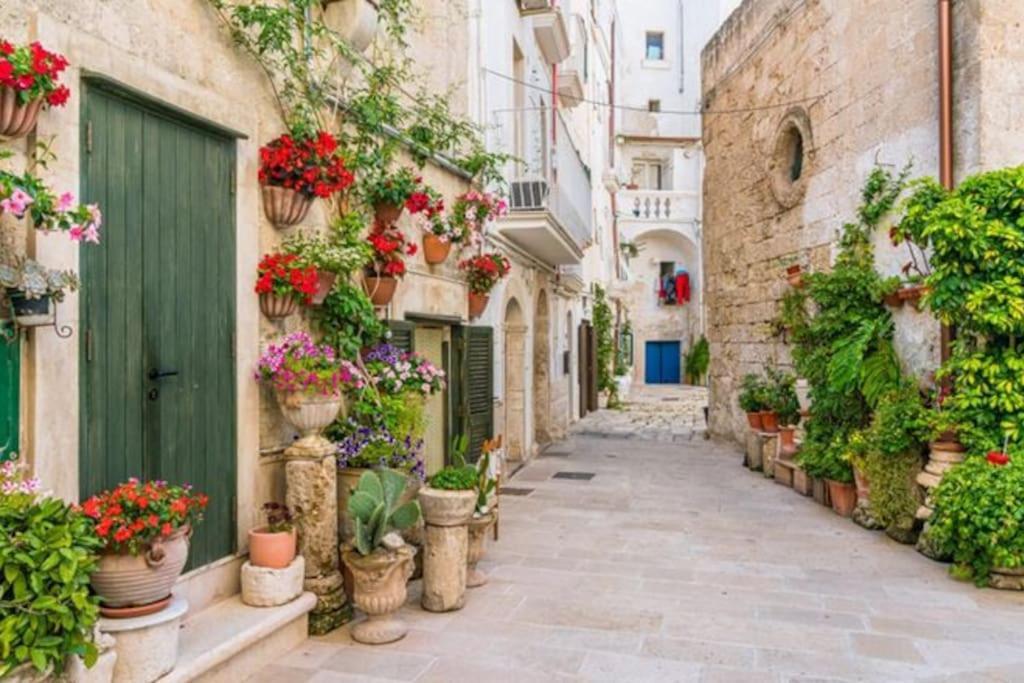 Il Mare In Citta. Appartamento Vista Mare Monopoli Eksteriør bilde